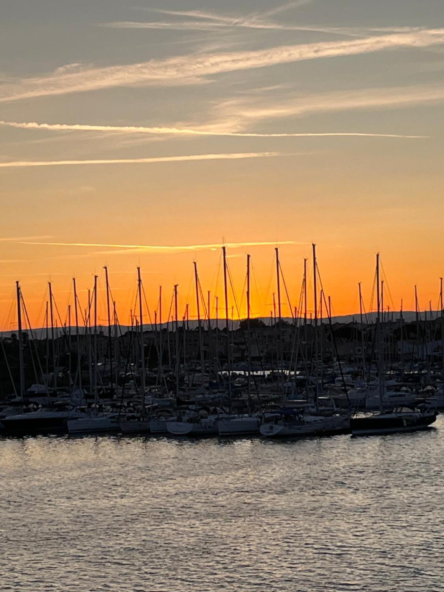 Studio Prestige Avec Terrasse, Ile Des Pecheurs, Vue Port Agde Exterior foto